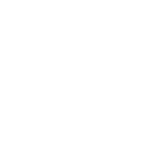 disciplina-icono